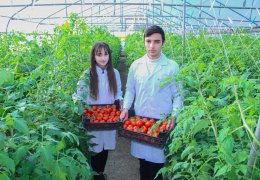 ADAU Greenhouse Complex produces environmentally friendly products