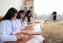 Лаборатория зерновых и бобовых культур